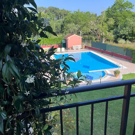 Gregory-vassilis アパート ダシア