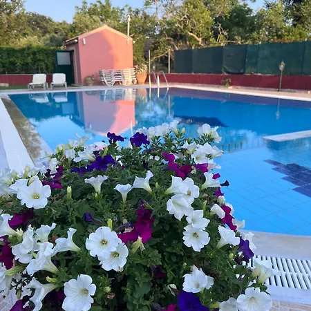 Apartment Gregory-vassilis *