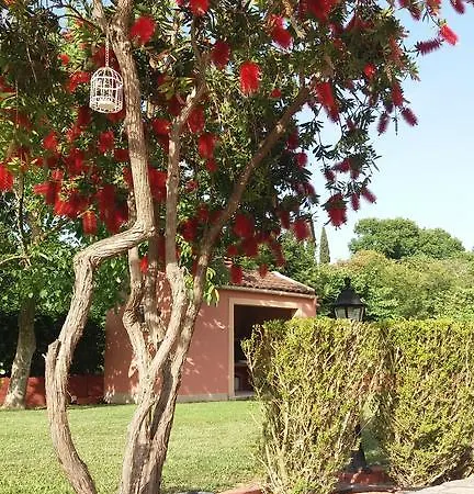 Gregory-vassilis Apartmán Dassiá