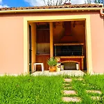 Gregory-vassilis * Dasziá